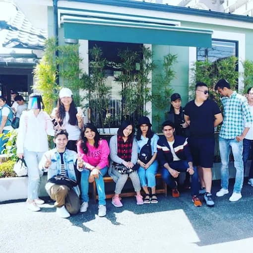 Language School Selection